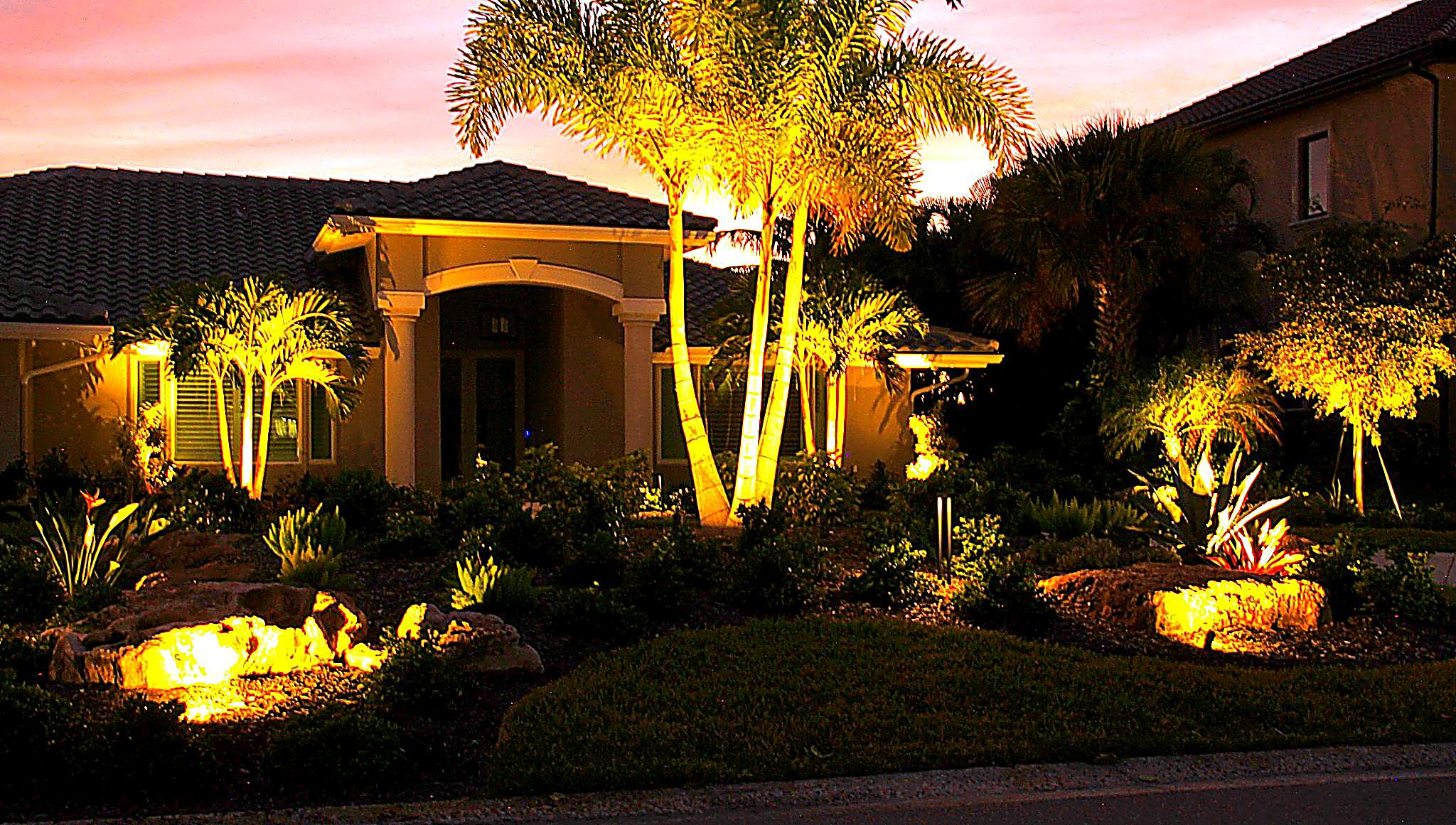 Professional landscape lighting installation highlighting tropical landscaping
