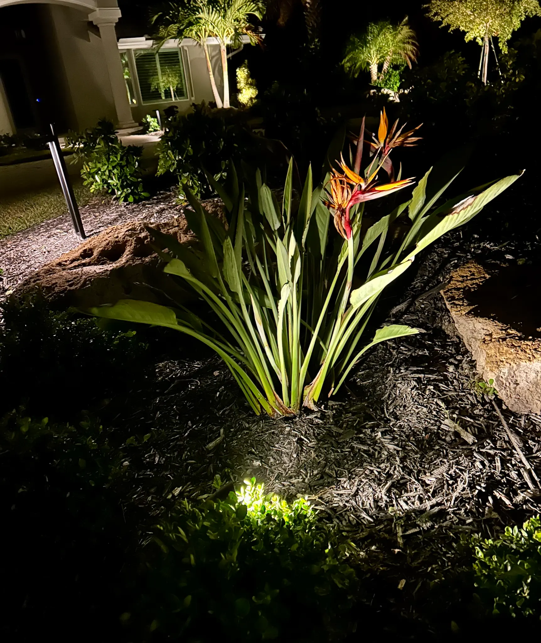 Custom landscape lighting design highlighting architectural details